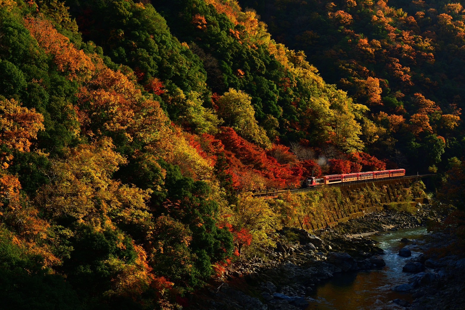 Autumn Colors Along the Gorge